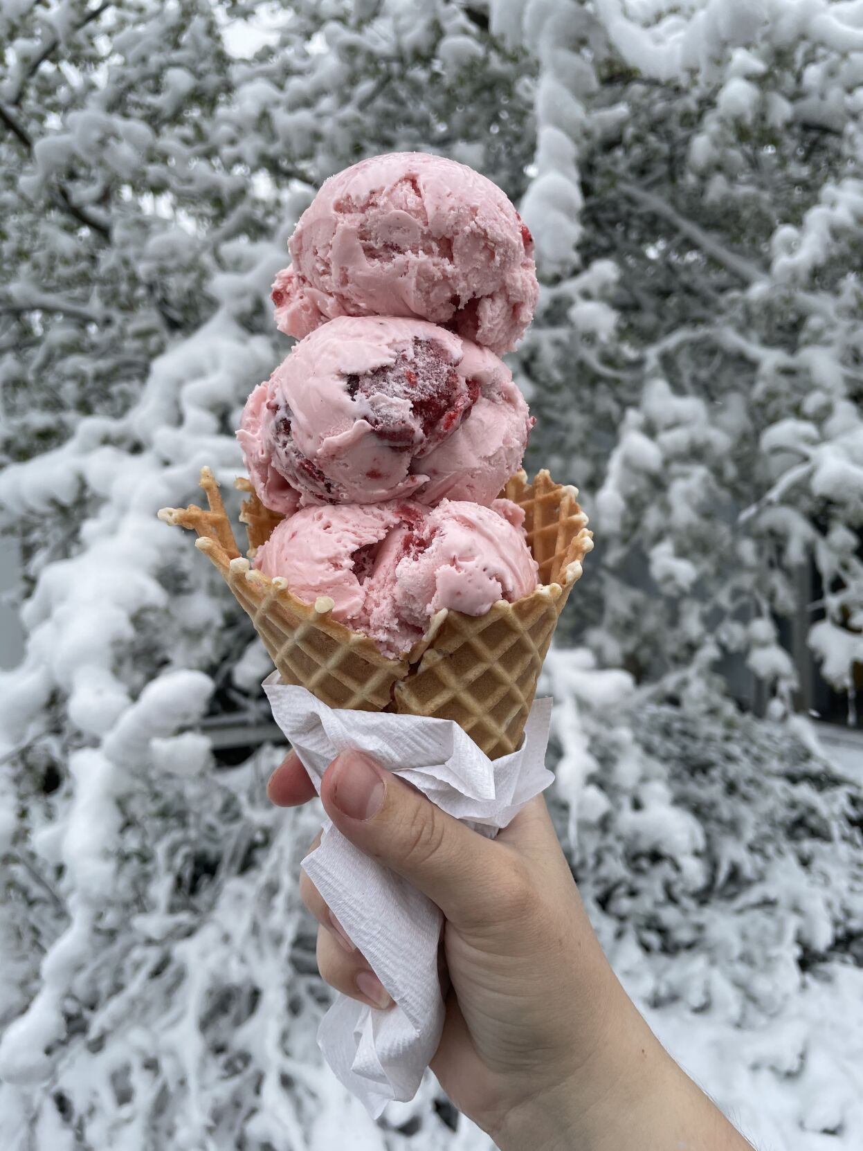 Village Scoop ice cream 1